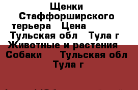 Щенки Стаффорширского терьера › Цена ­ 9 000 - Тульская обл., Тула г. Животные и растения » Собаки   . Тульская обл.,Тула г.